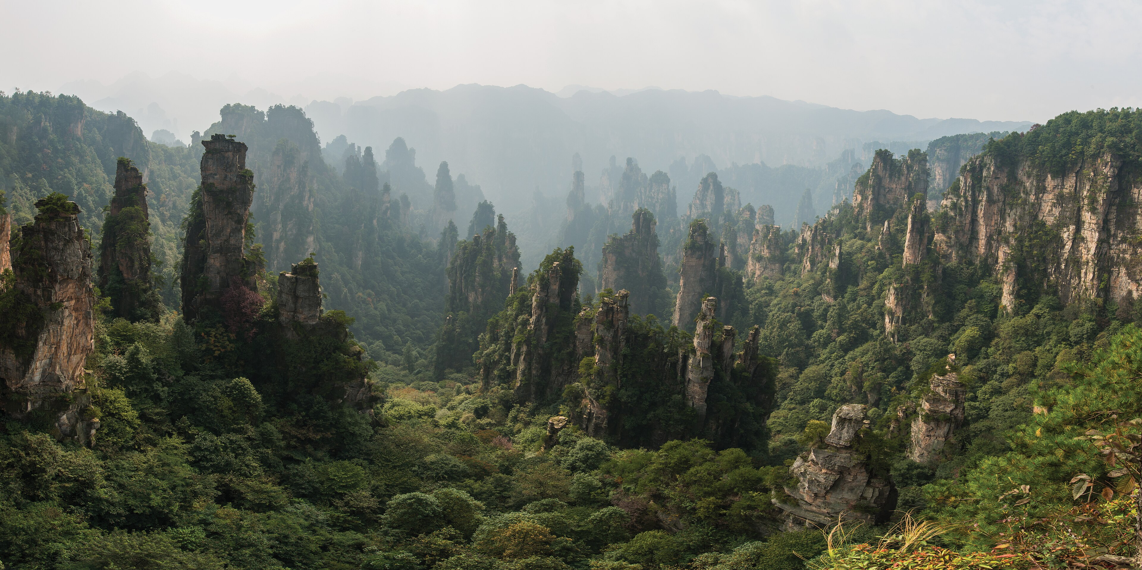 Forested sandstone peaks at Tianzi Mountain in Zhangjiajie